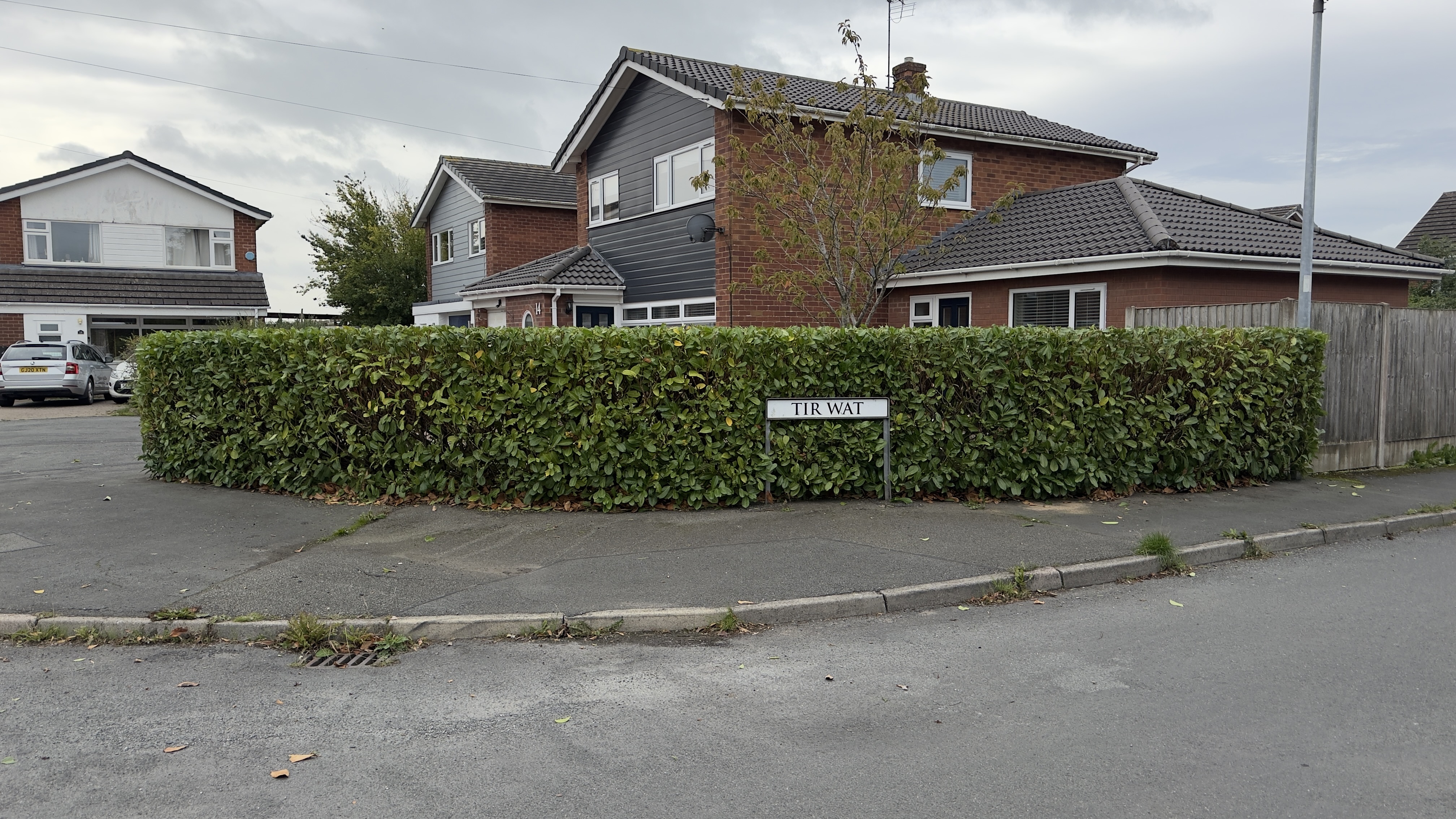 Hedge