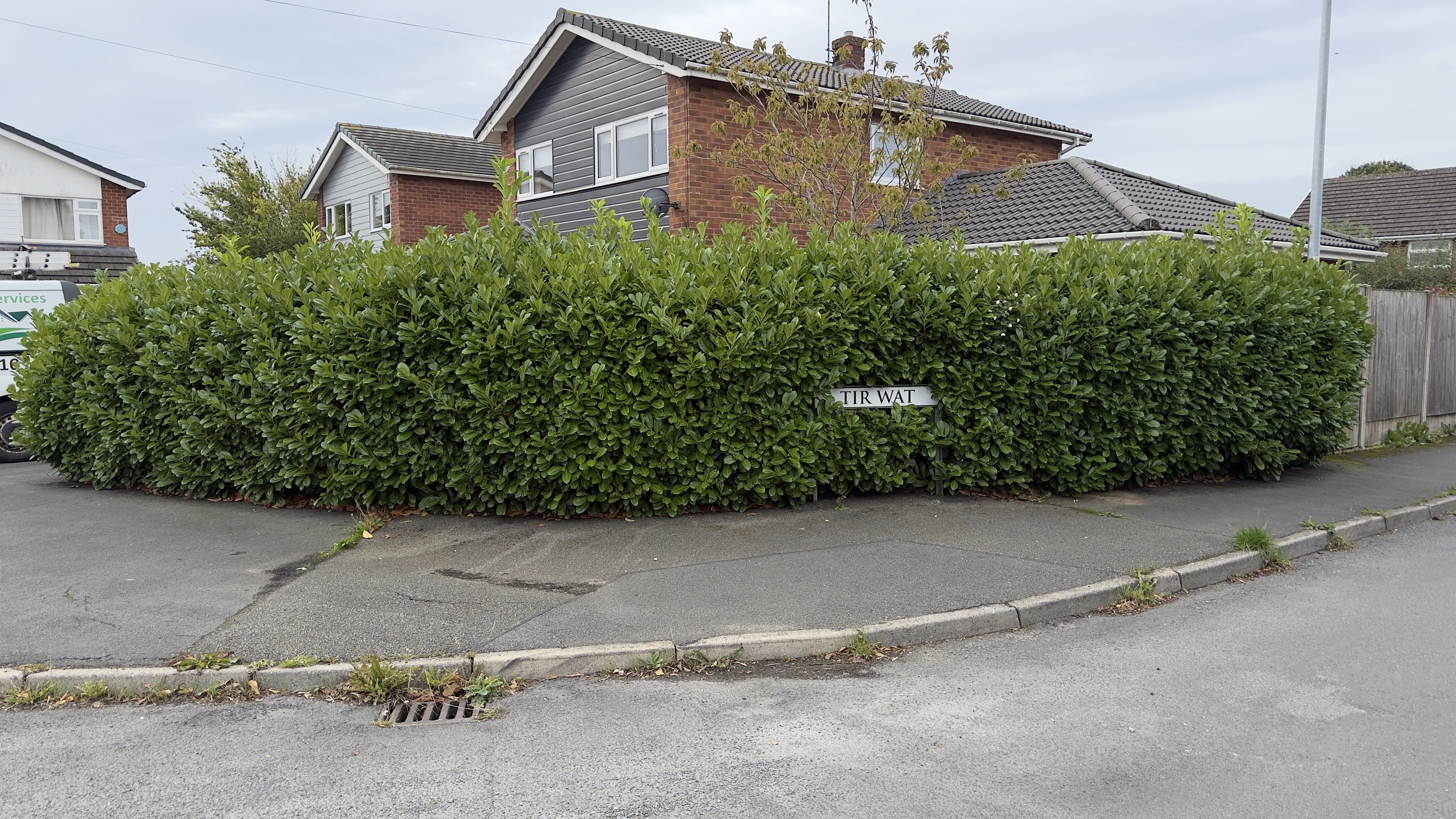 Hedge
