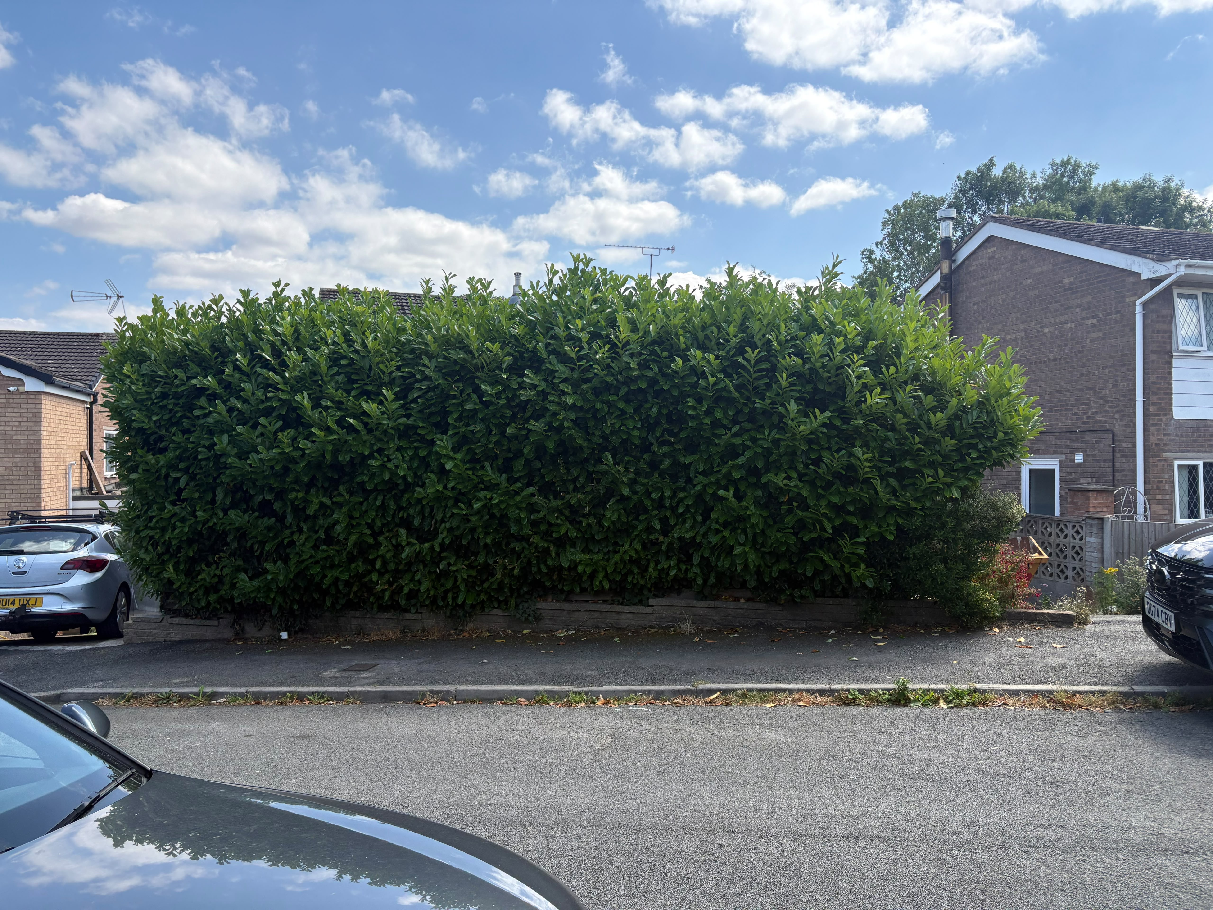 Hedges