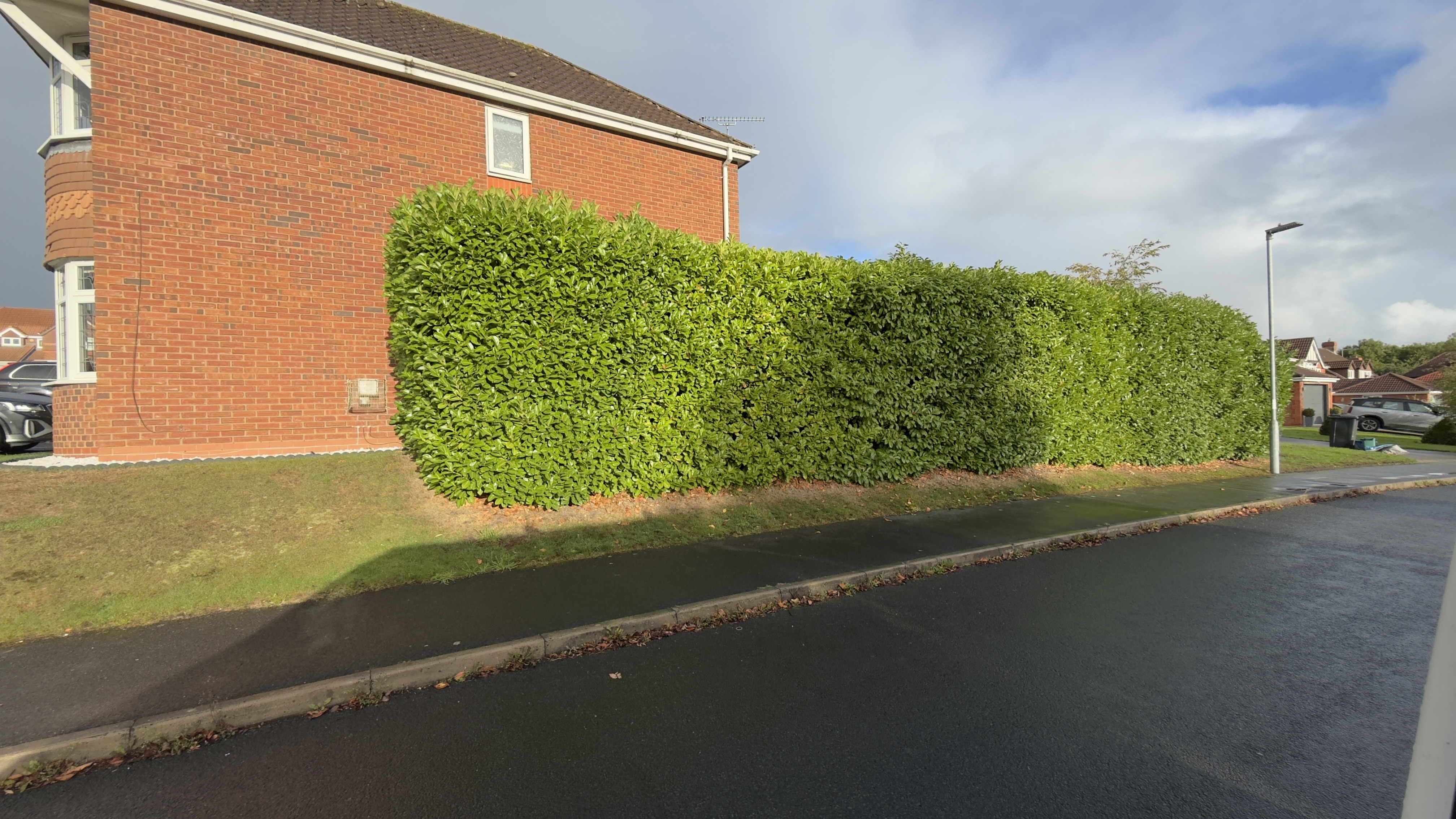 Hedges