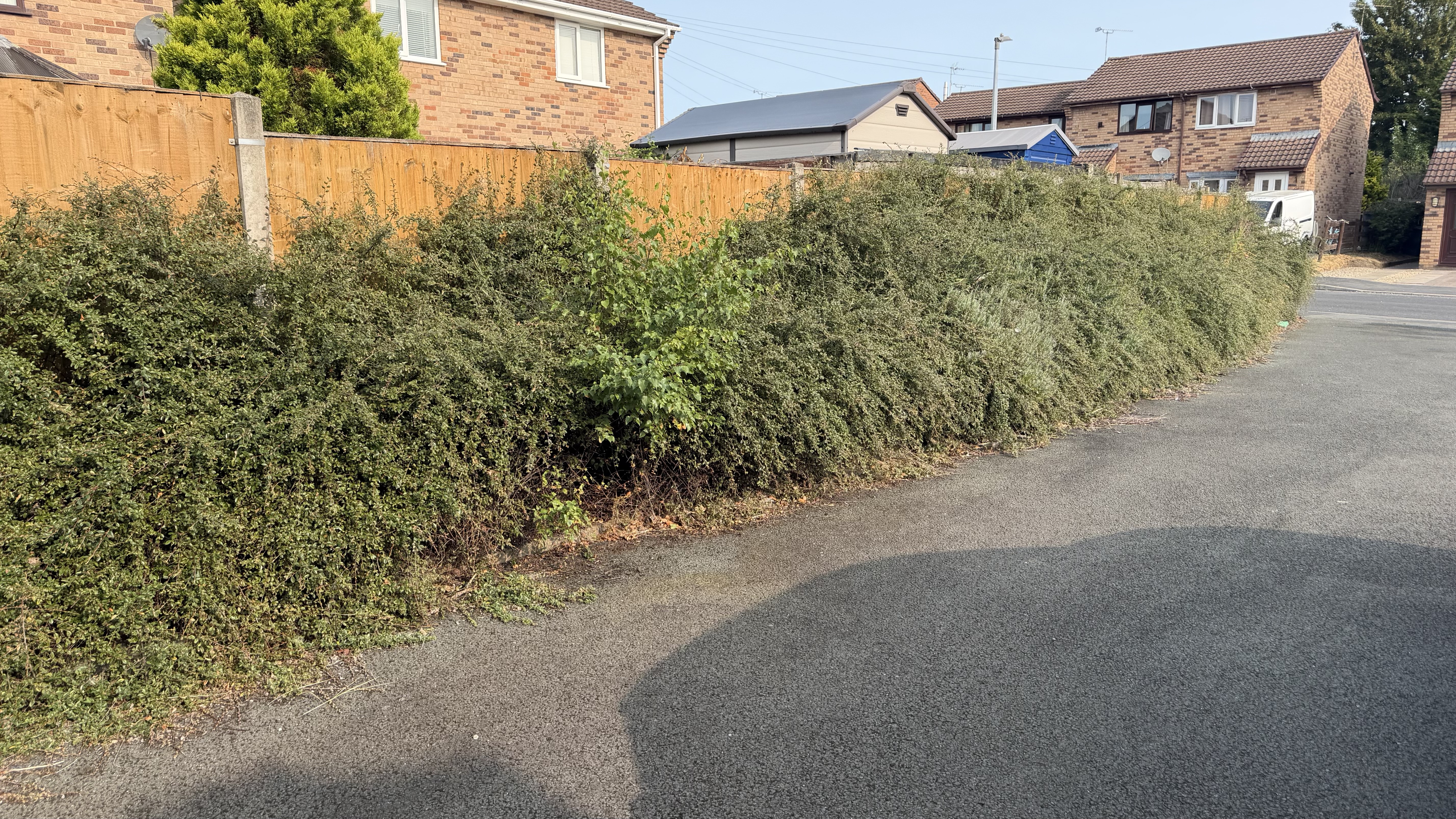 Hedge removal