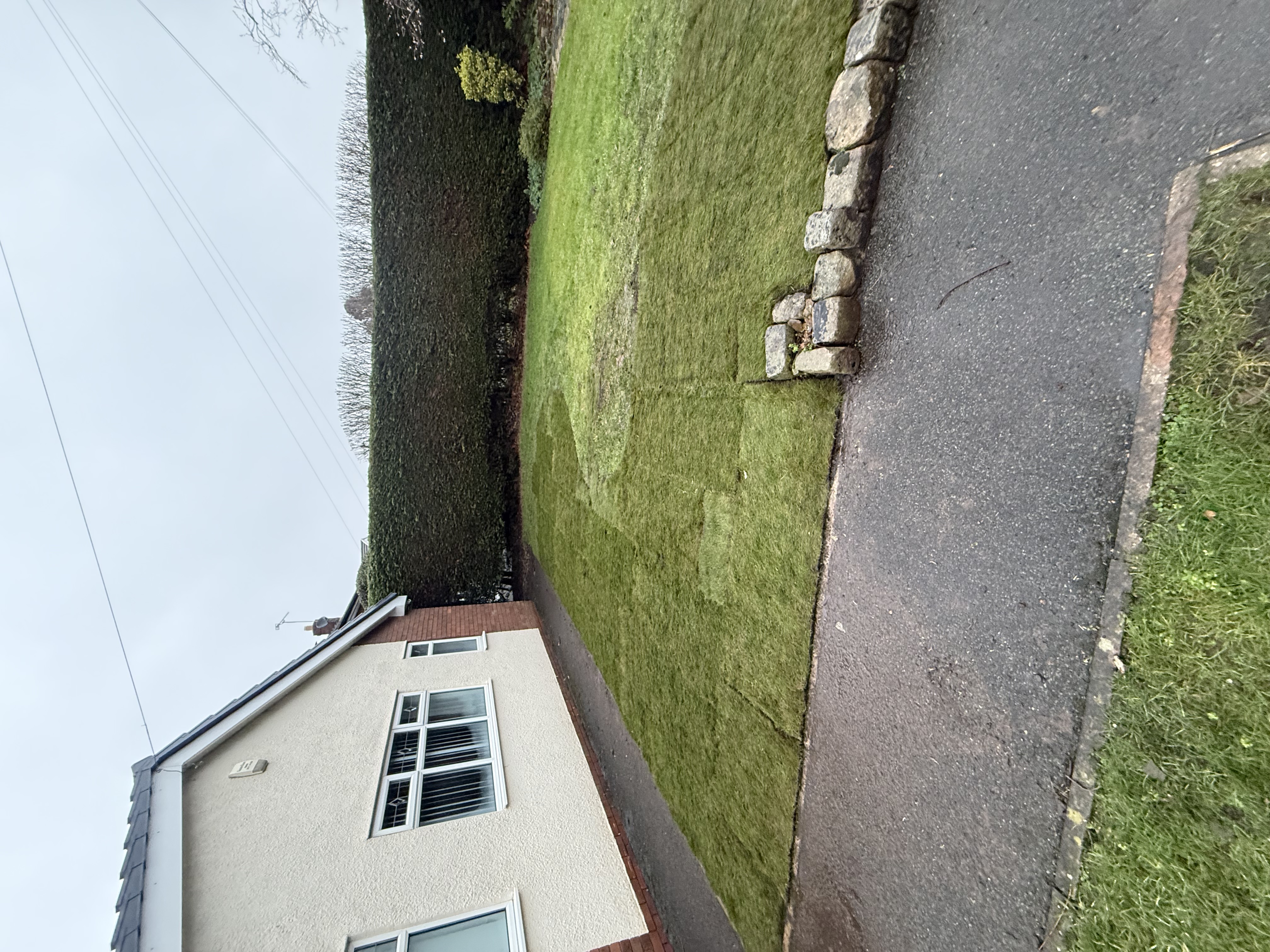 Back garden