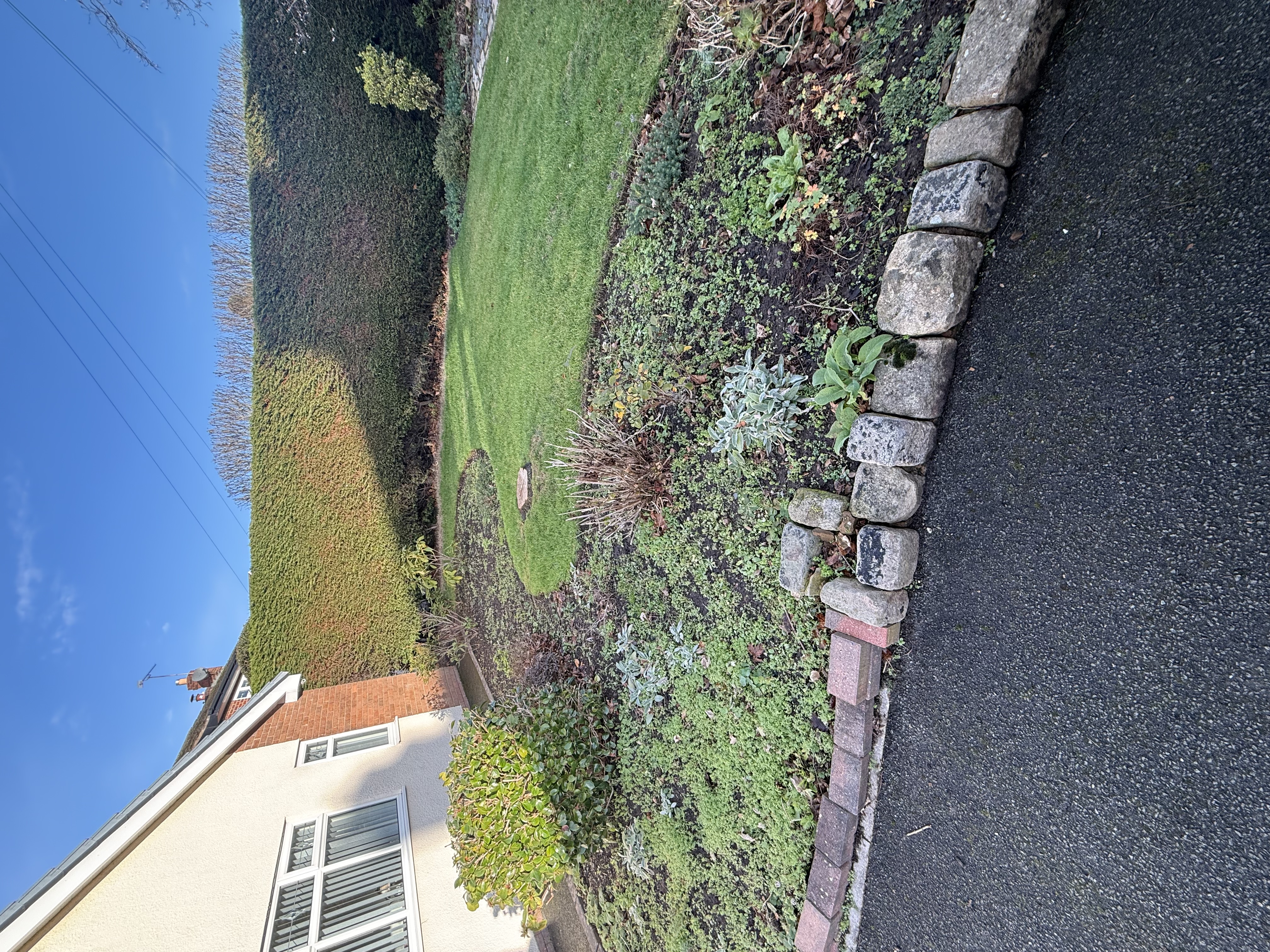 Back garden